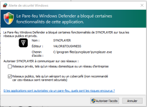 Syncplayer installation